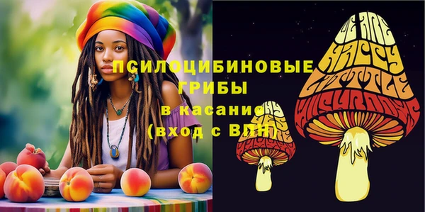 jwh Белокуриха