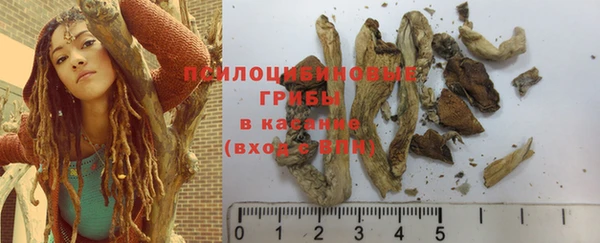 кристаллы Тавда